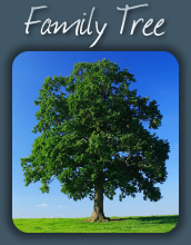 Family Tree